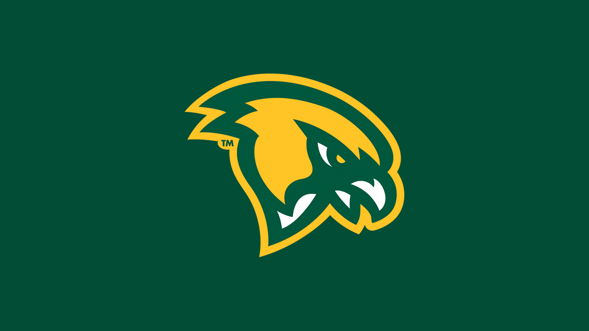 Fitchburg State Baseball Raises Money For March Of Dimes
